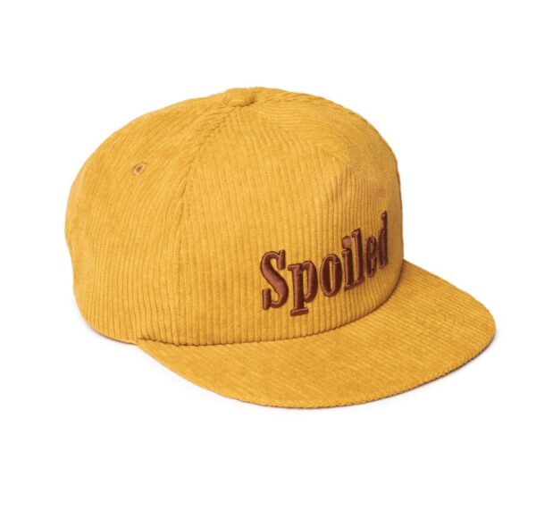 Custom Debossed Corduroy Baseball Cap (3)